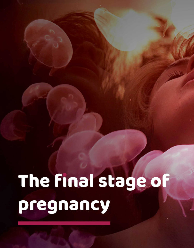 The Final Stage Of Pregnancy 